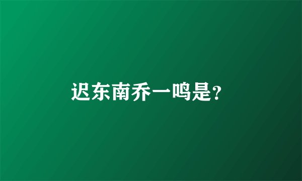 迟东南乔一鸣是？
