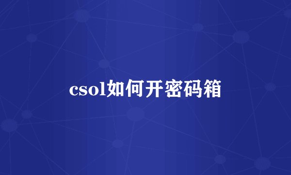 csol如何开密码箱