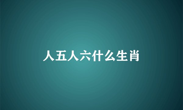人五人六什么生肖