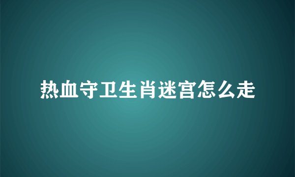 热血守卫生肖迷宫怎么走