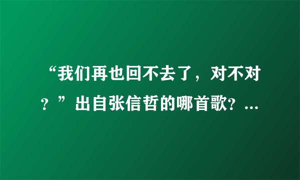 “我们再也回不去了，对不对？”出自张信哲的哪首歌？顺便给出部分歌词