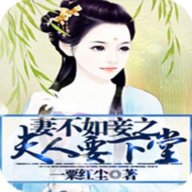 妻不如妾之夫人要下堂的内容介绍