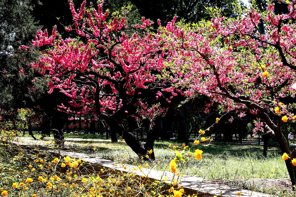 交换游安全吗？