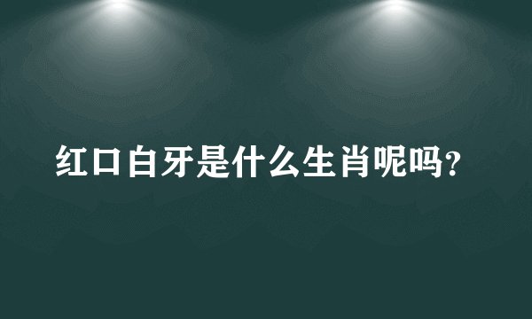 红口白牙是什么生肖呢吗？