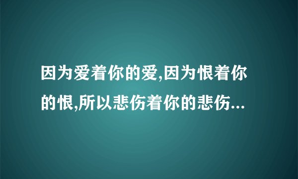 因为爱着你的爱,因为恨着你的恨,所以悲伤着你的悲伤,幸福着你的幸福是什么歌