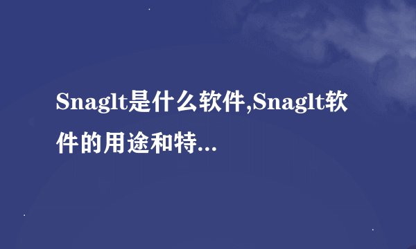 Snaglt是什么软件,Snaglt软件的用途和特点是什么
