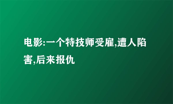电影:一个特技师受雇,遭人陷害,后来报仇