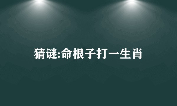 猜谜:命根子打一生肖