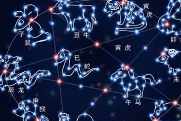 守法奉公的生肖是什么动物