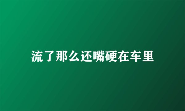 流了那么还嘴硬在车里