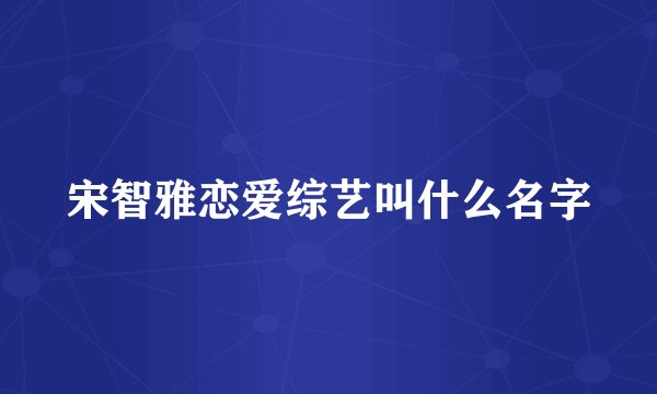 宋智雅恋爱综艺叫什么名字