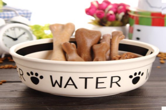 接不上茬的动物