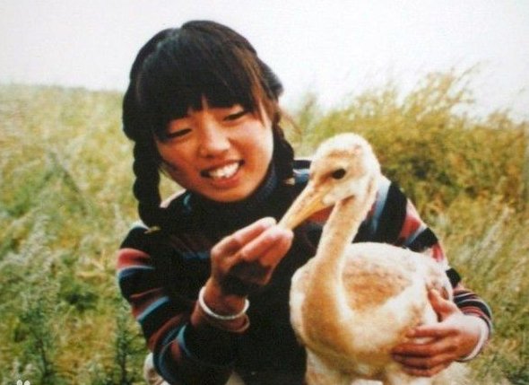 歌词“走过那片芦苇波，你可曾听说有一个女孩她曾经来过”歌名是什么？