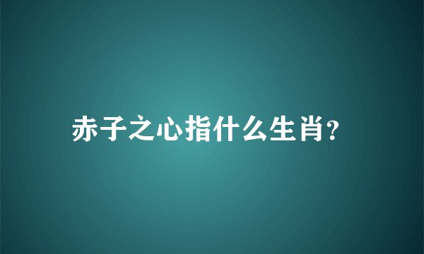 赤子之心指什么生肖？