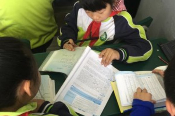 掉以轻心的动物打一生肖