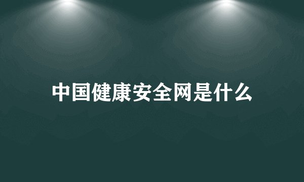 中国健康安全网是什么