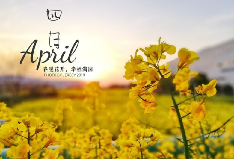 他们在写一种很新的诗