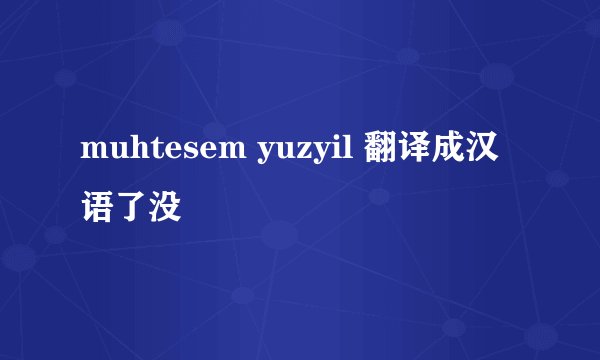 muhtesem yuzyil 翻译成汉语了没