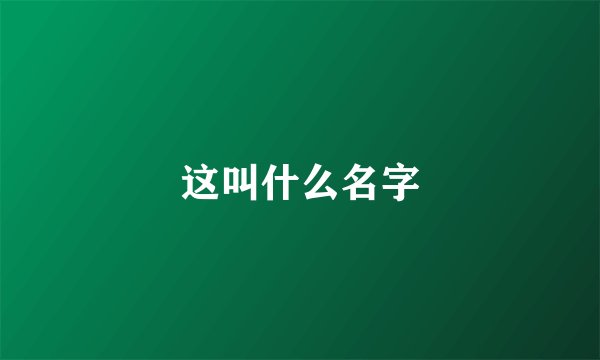 这叫什么名字