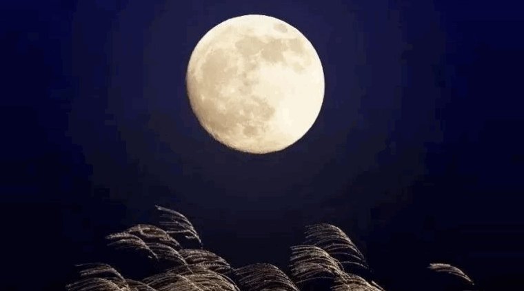 清朗如月自在如风什么意思？