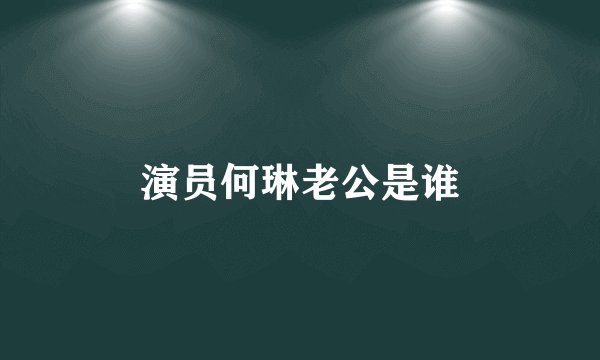 演员何琳老公是谁