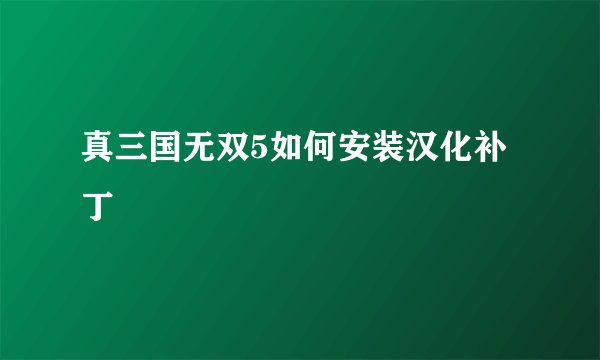 真三国无双5如何安装汉化补丁