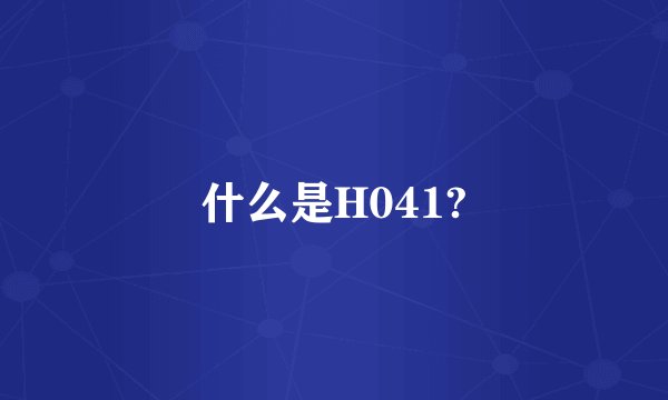 什么是H041?