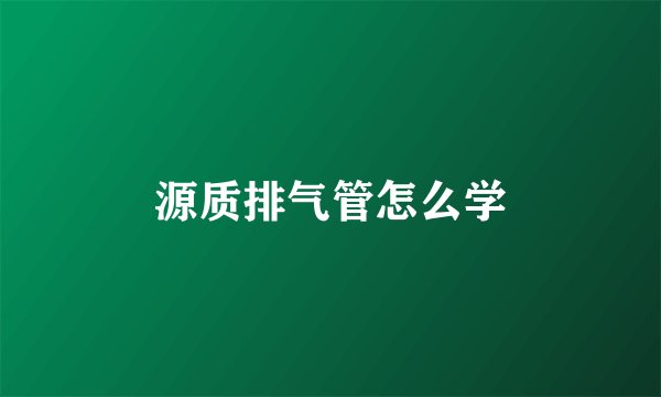 源质排气管怎么学