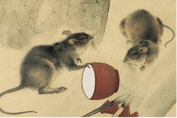 眼明手捷是什么动物