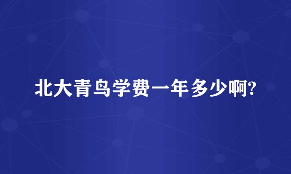北大青鸟学费一年多少啊?