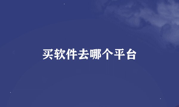 买软件去哪个平台