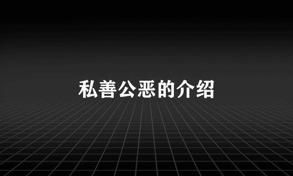私善公恶的介绍