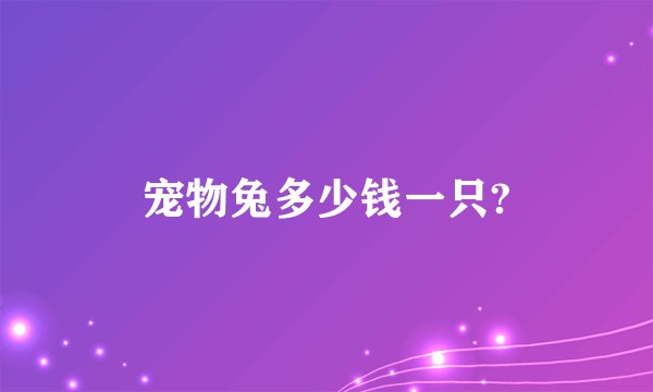 宠物兔多少钱一只?