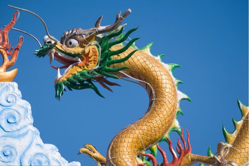 五讲四美最佳打一生肖