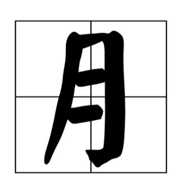 月字旁的字跟什么有关系
