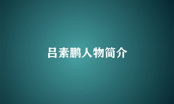 吕素鹏人物简介
