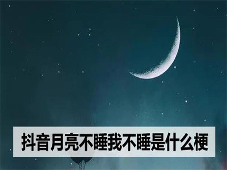 月亮不睡我不睡,后一句怎么接？