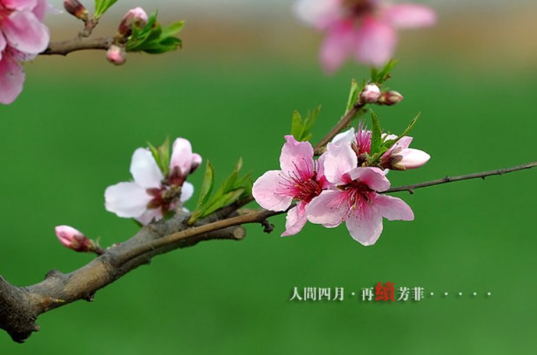 他们在写一种很新的诗