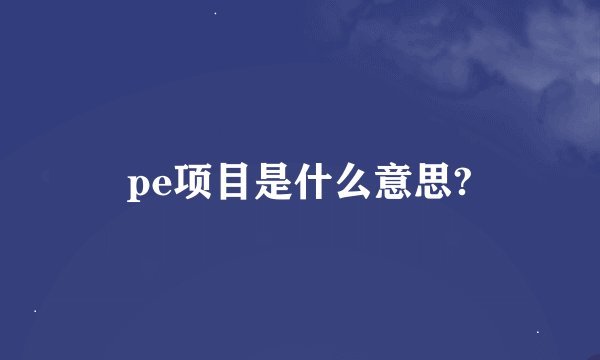 pe项目是什么意思?