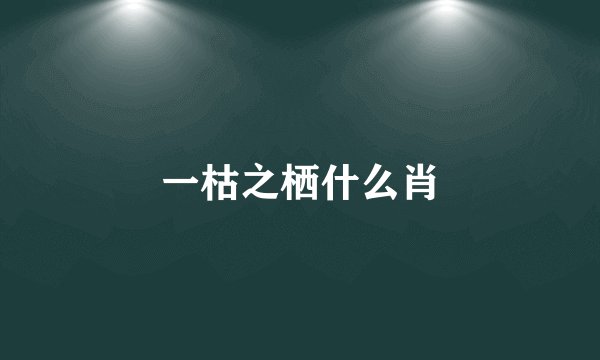 一枯之栖什么肖