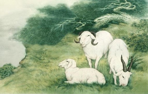 慈悲为怀的生肖