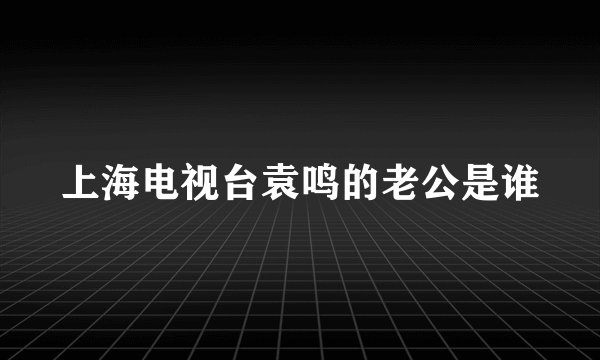 上海电视台袁鸣的老公是谁