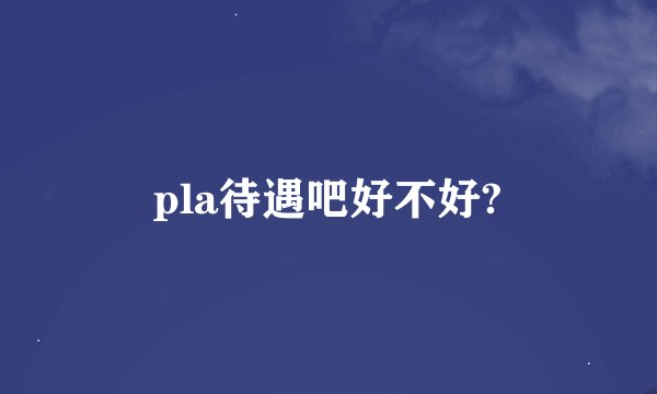 pla待遇吧好不好?