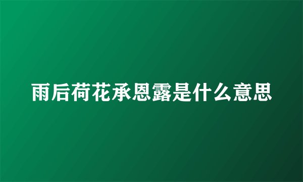 雨后荷花承恩露是什么意思