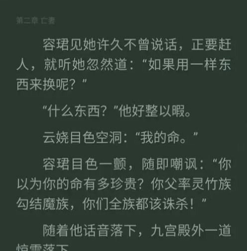 韶晴岚和濯锟是什么小说