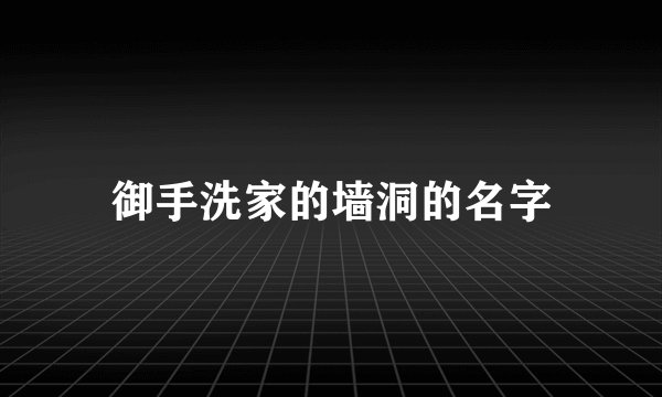 御手洗家的墙洞的名字