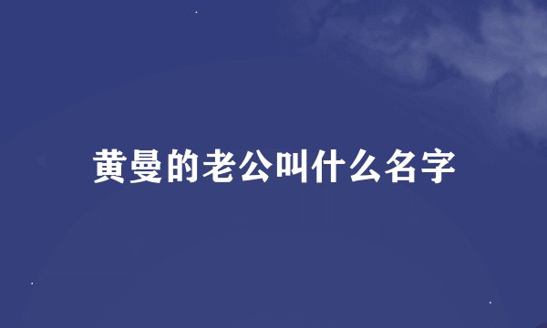 黄曼的老公叫什么名字