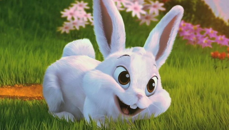 慈悲为怀的生肖