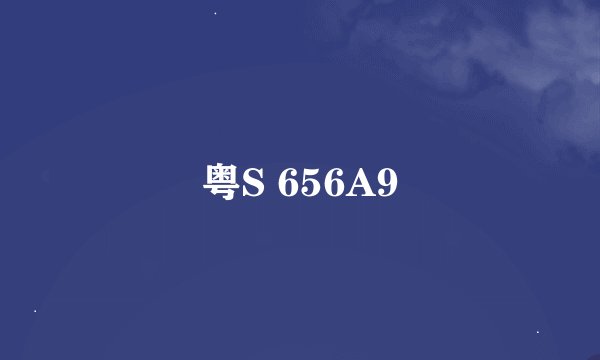 粤S 656A9