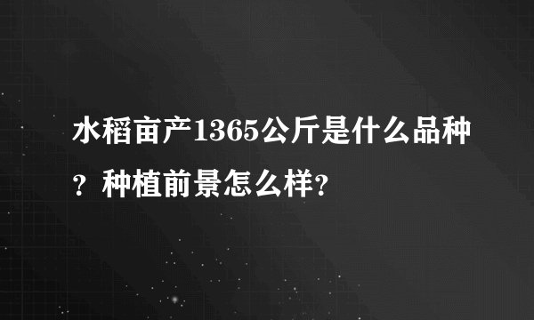 水稻亩产1365公斤是什么品种？种植前景怎么样？